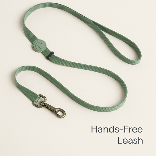 Hands Free Dog Leash